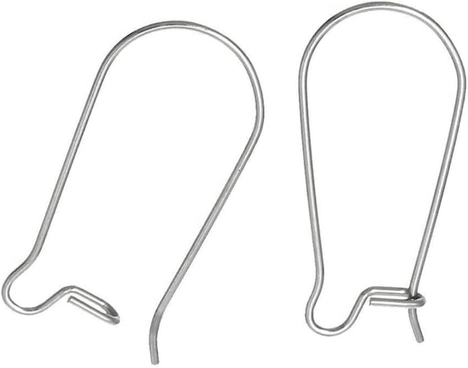 Kidney Earring Hooks Hypoallergenic Ear Wires for DIY Jewellery Making, Earrings, Beading, Charms, Pendants & Handmade Craft Projects